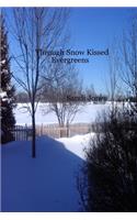 Through Snow Kissed Evergreens