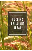 Fucking Brilliant Ideas (Notebook)