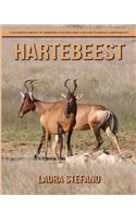 Hartebeest: Children's Book of Amazing Photos and Fun Facts about Hartebeest