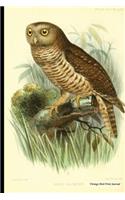 Vintage Bird Print Journal