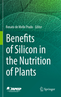 Benefits of Silicon in the Nutrition of Plants