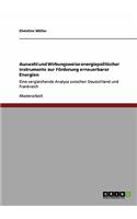 Auswahl und Wirkungsweise energiepolitischer Instrumente zur Förderung erneuerbarer Energien