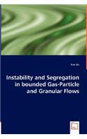 Instability and Segregation in bounded Gas-Particle and Granular Flows