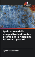 Applicazione delle nanoparticelle di ossido di ferro per la rimozione dei metalli pesanti