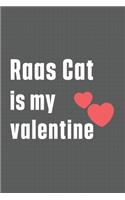 Raas Cat is my valentine: For Raas Cat Fans