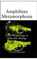 Amphibian Metamorphosis: From Morphology to Molecular Biology