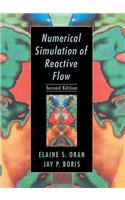Numerical Simulation of Reactive Flow