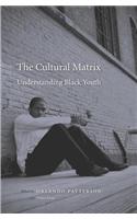 The Cultural Matrix: Understanding Black Youth