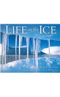 Life On The Ice