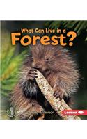 What Can Live in a Forest?