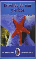 Estrellas de Mar y Erizos