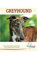 Greyhound