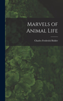 Marvels of Animal Life