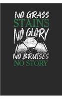 No Grass Stains No Glory