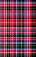 Clan Udney Tartan Journal/Notebook