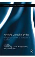 Provoking Curriculum Studies