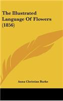 Illustrated Language of Flowers (1856)