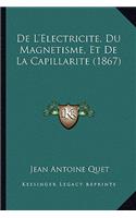 De L'Electricite, Du Magnetisme, Et De La Capillarite (1867)