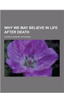 Why We May Believe in Life After Death