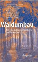 Waldumbau: Fur Eine Zukunftsorientierte Waldwirtschaft