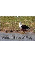 African Birds of Prey 2017