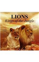 Lions Kings of the Jungle 2018