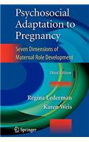 Psychosocial Adaptation to Pregnancy