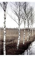 Beautiful Birch Trees on a Misty Winter Morning Journal: 150 Page Lined Notebook/Diary
