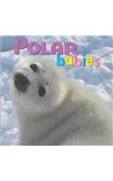 Polar Babies