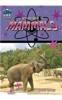 A Project Guide to Mammals: (Life Science Projects for Kids (Library))