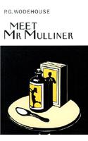 Meet Mr. Mulliner