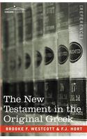 New Testament in the Original Greek