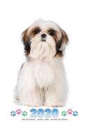 2020 Shih Tzu Planner - Weekly - Daily - Monthly (UK Edition)