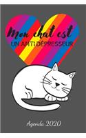 Mon chat est un antidépresseur