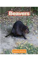 Beavers: Fun Facts and Amazing Photos of Animals in Nature