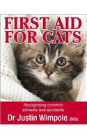 First Aid for Cats: Recognising Common Ailments and Accidents