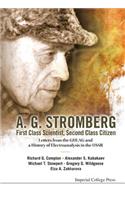 A. G. Stromberg - First Class Scientist, Second Class Citizen: Letters from the Gulag and a History of Electroanalysis in the USSR