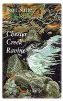 Chester Creek Ravine