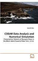 CODAR Data Analysis and Numerical Simulation