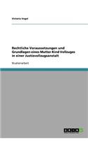 Rechtliche Voraussetzungen und Grundlagen eines Mutter-Kind Vollzuges in einer Justizvollzugsanstalt