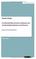 Gesellschaftstheoretische Annahmen des Strukturfunktionalismus nach Parsons: Kontroversen im Funktionalismus