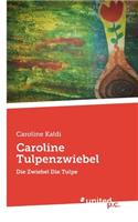 Caroline Tulpenzwiebel