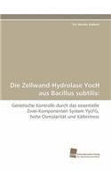 Zellwand-Hydrolase Yoch Aus Bacillus Subtilis