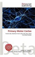 Primary Motor Cortex: (English)