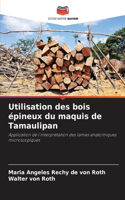 Utilisation des bois épineux du maquis de Tamaulipan