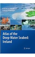Atlas of the Deep-Water Seabed