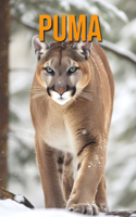 Puma: Das wesentliche Handbuch über diese erstaunlichen Tiere mit tollen Fotos