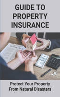 Guide To Property Insurance: Protect Your Property From Natural Disasters: Simple Guide About The Claim Game