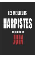 Les Meilleurs Harpistes sont nés en Juin carnet de notes