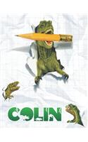 Colin: Personalized Dinosaur Sketchbook For Boys. 8.5"x11" 110 Pages. Doodle, Draw, Sketch, Create, Dino!